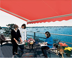 Retractable Awning model