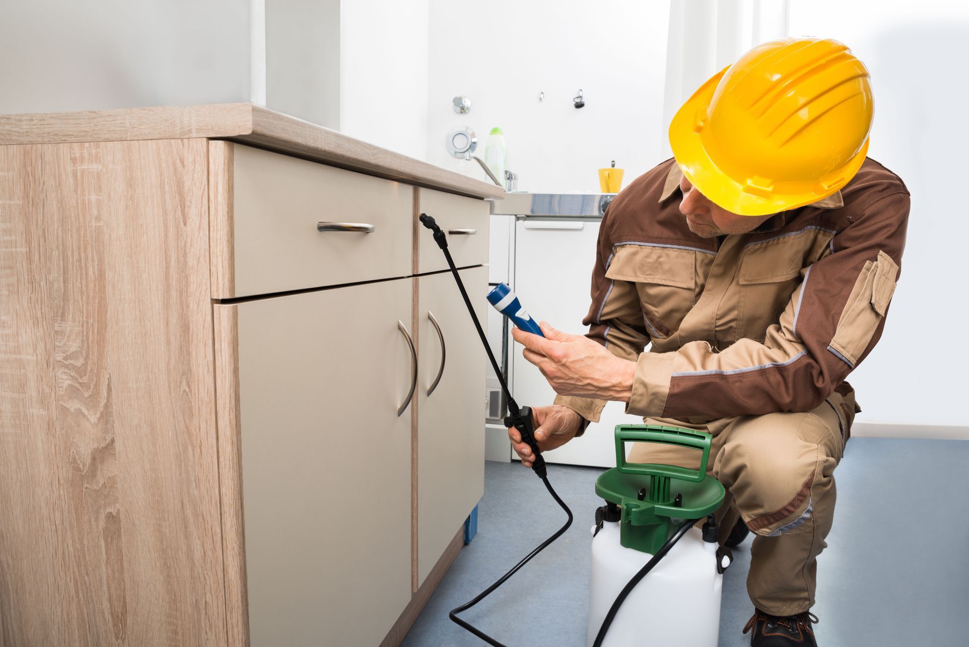 A person in a yellow hard hat and work clothes sprays a kitchen cabinet with a pest control solution.