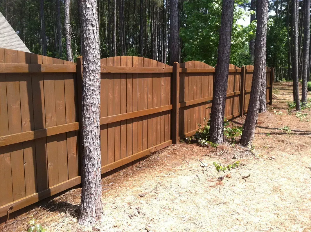 Brown wooden fence bordering a wooded area, with trees growing next to it.