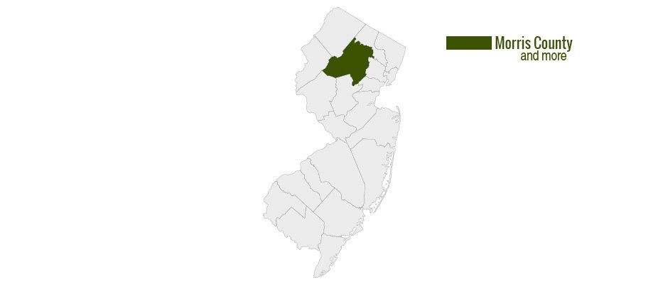 Morris County and more