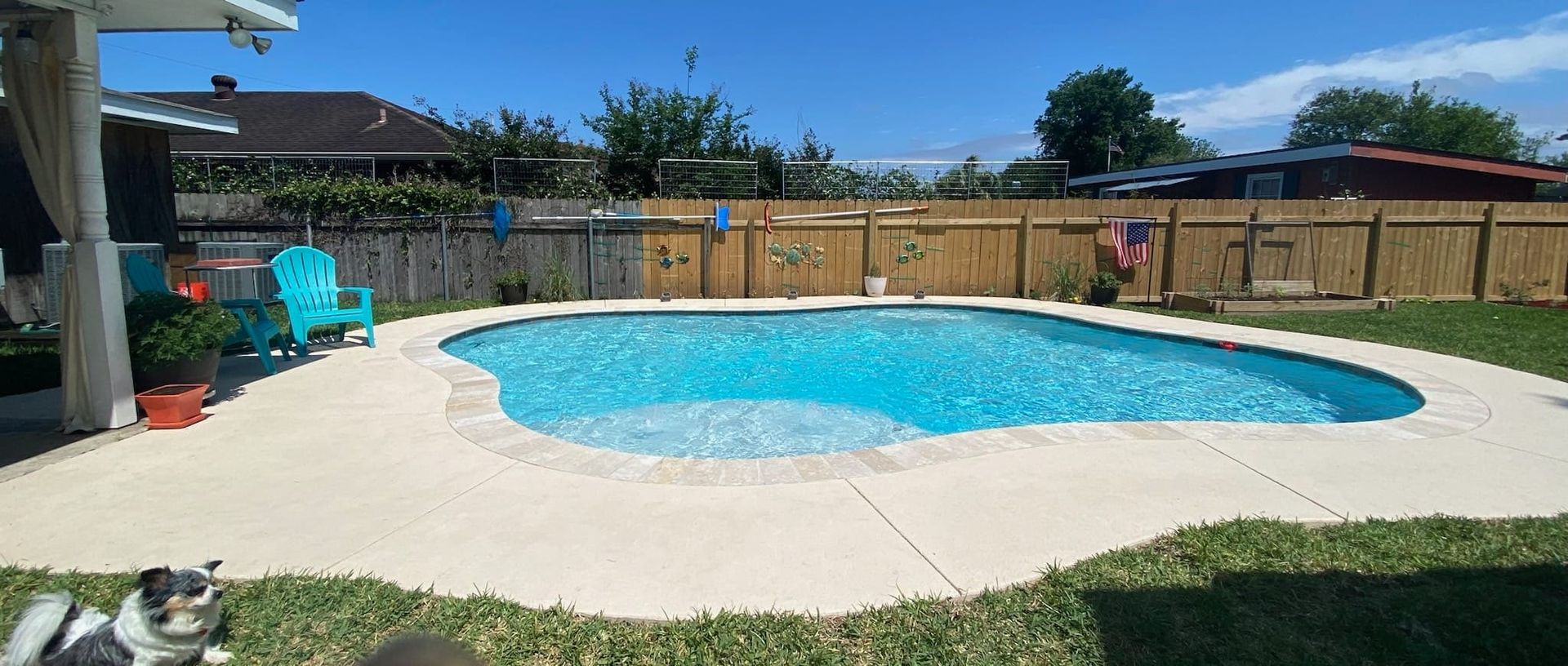 Dog standing beside in-ground pool in backyard setting in Destrehan, LA