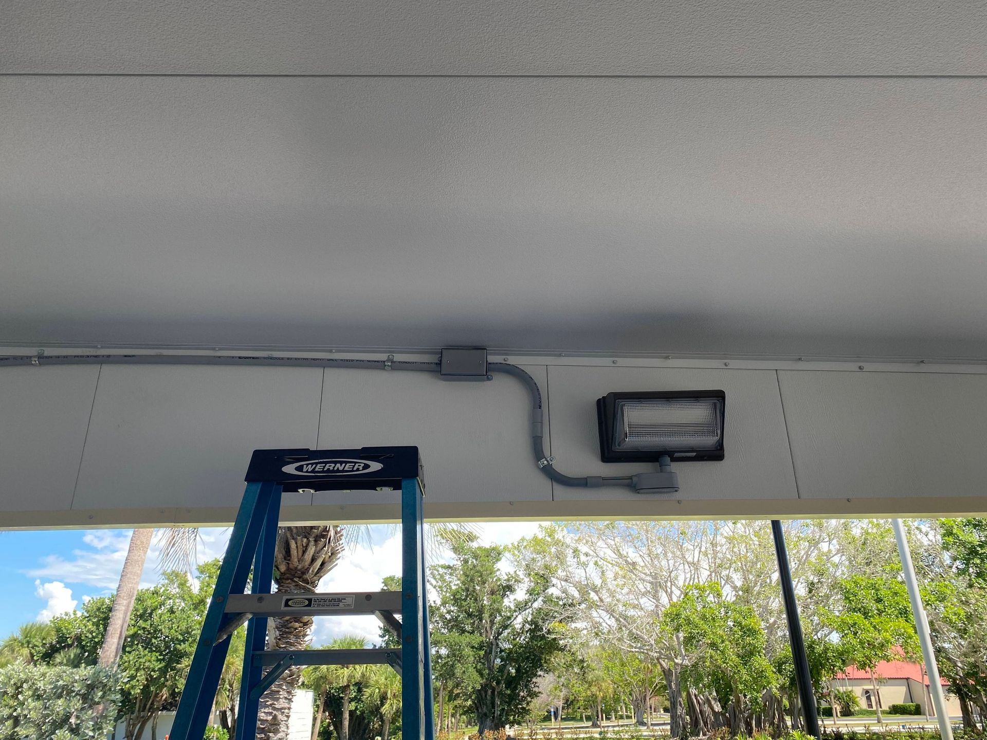 Blue ladder under a ceiling-mounted work light in an open-sided building, with trees visible outside.