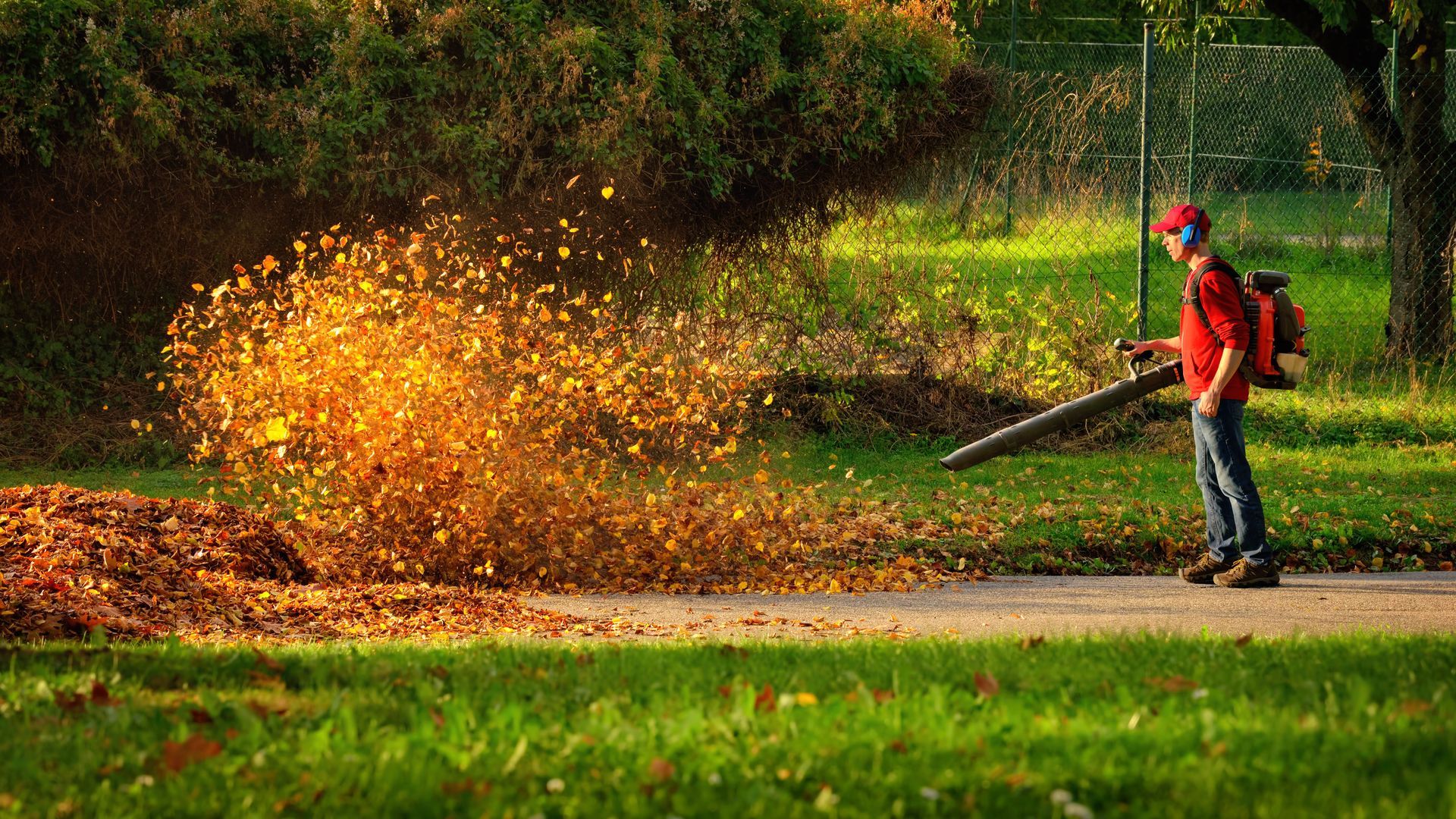 Person using a leaf blower to clear a pile of orange leaves in a grassy park.
