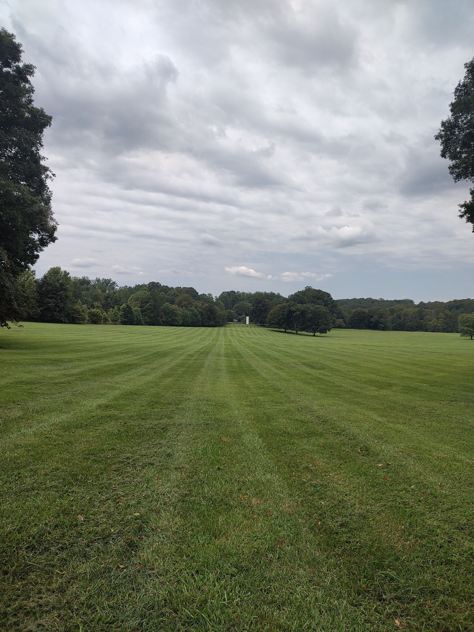 Wide grassy field under a cloudy sky, framed by trees in the distance
