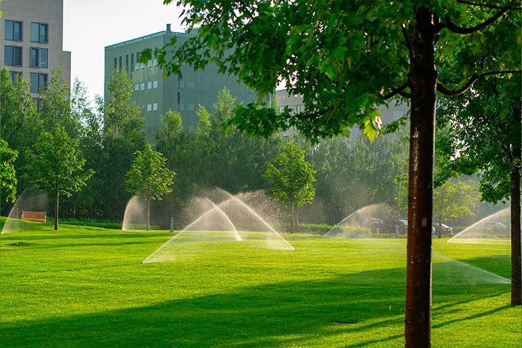 Green park lawn with sprinklers spraying water near office buildings and trees