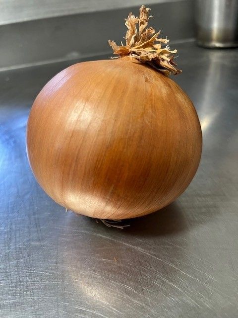 Brown onion on a stainless steel surface, showing its stem.