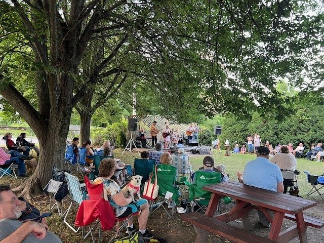 People seated on chairs, watching a band perform outdoors under a tree, with a picnic table in the foreground.