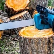 A blue chainsaw rests on a tree stump, ready to cut. Saw blade is silver. Logs are stacked in the background.