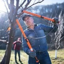 Man in denim shirt using long-handled orange shears to prune a tree, outdoors. Another person in the background.