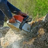 Person using a chainsaw to cut through a log outdoors; wood chips and sawdust are flying.