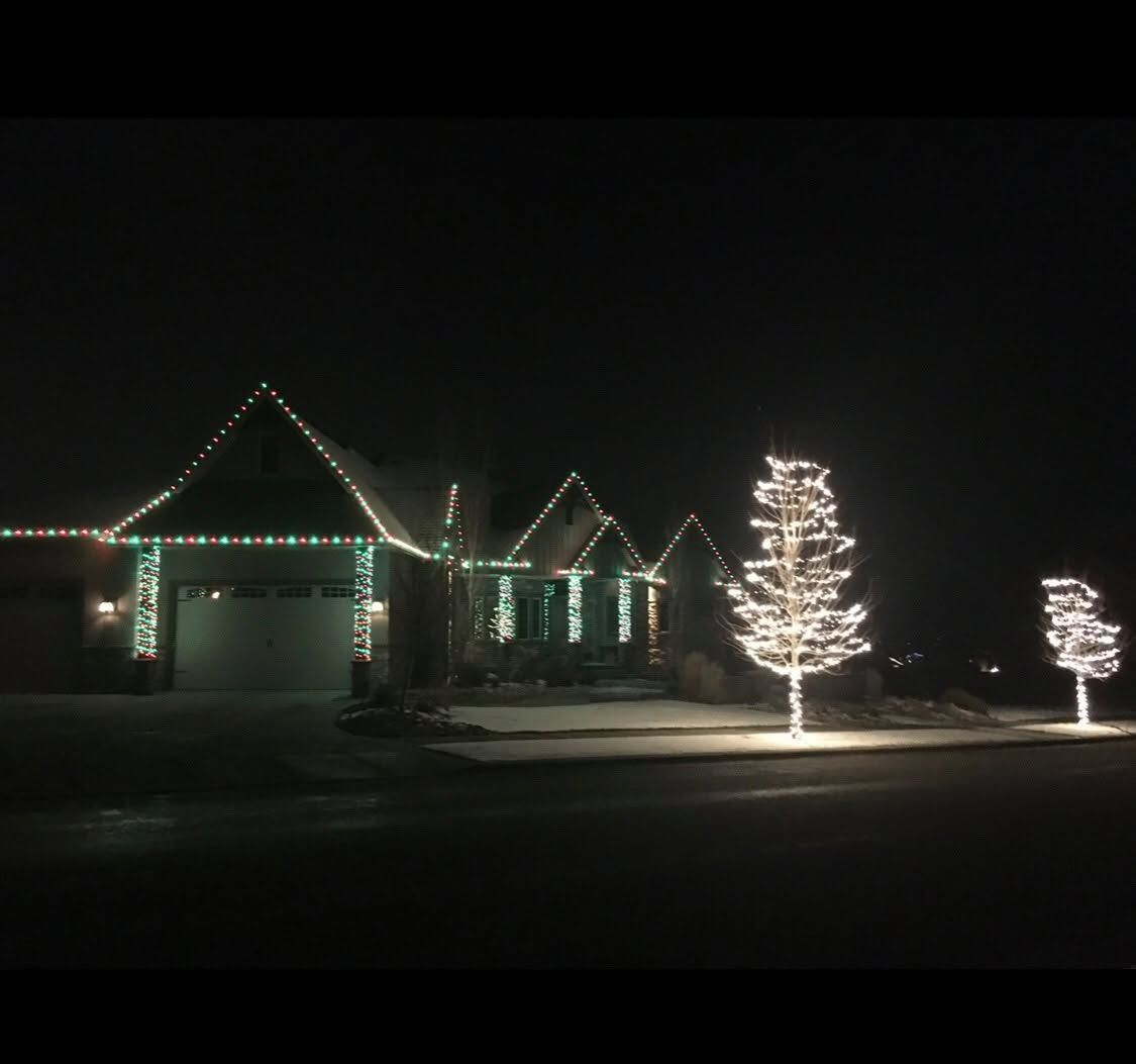 House outlined with holiday lights beside two lit white trees at night