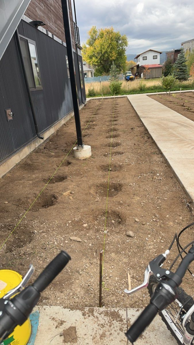 Narrow dirt side yard with a walkway, young tree, and bicycle handlebars in the foreground