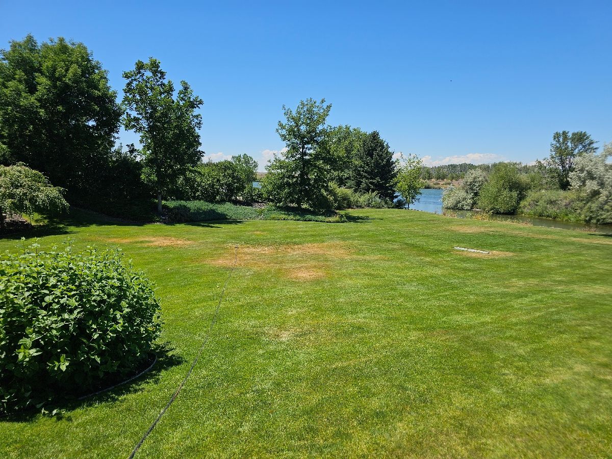 Sunny green park with trees, open grass, and a small lake under a clear blue sky