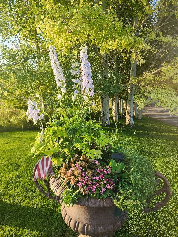 Flower-filled urn planter in a sunny garden with white and pink blooms, green foliage, and a small American flag.