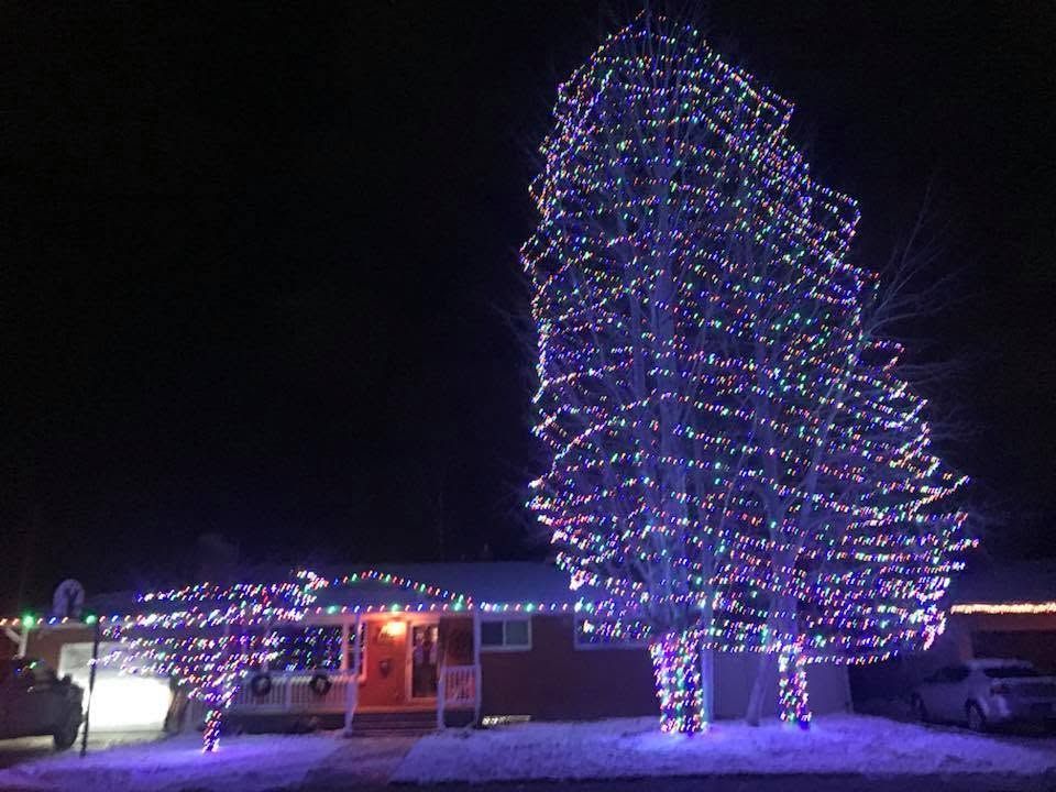 House and tall tree covered in colorful Christmas lights at night