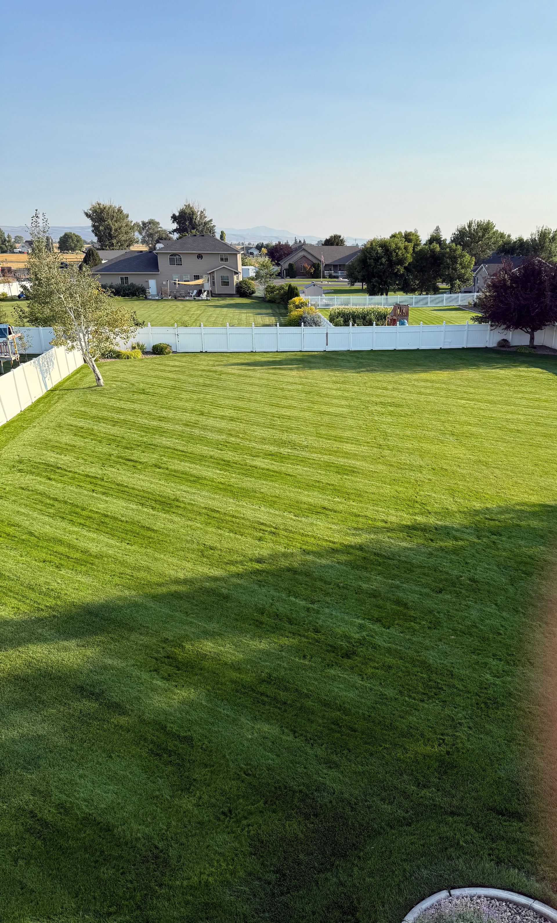 Sunny backyard lawn with a small pool, white fence, and houses in the distance under a clear blue sky
