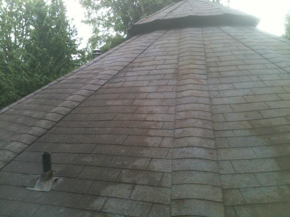 Roof Cleaning