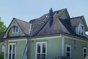 roof washing burlington wa