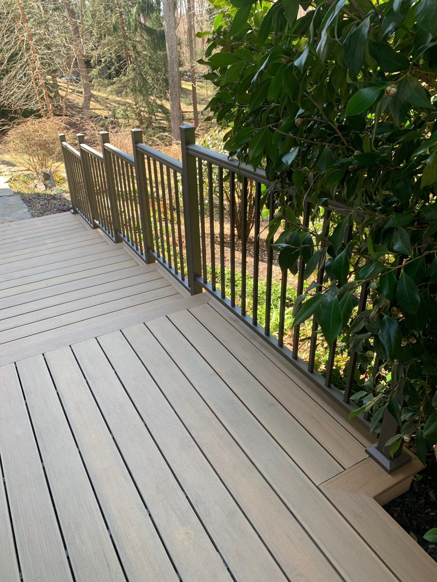 Wooden deck with black railing overlooking a wooded yard and stream