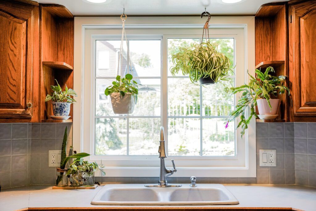 Bright kitchen sink beneath a large window, with hanging and potted green plants and wooden cabinets.