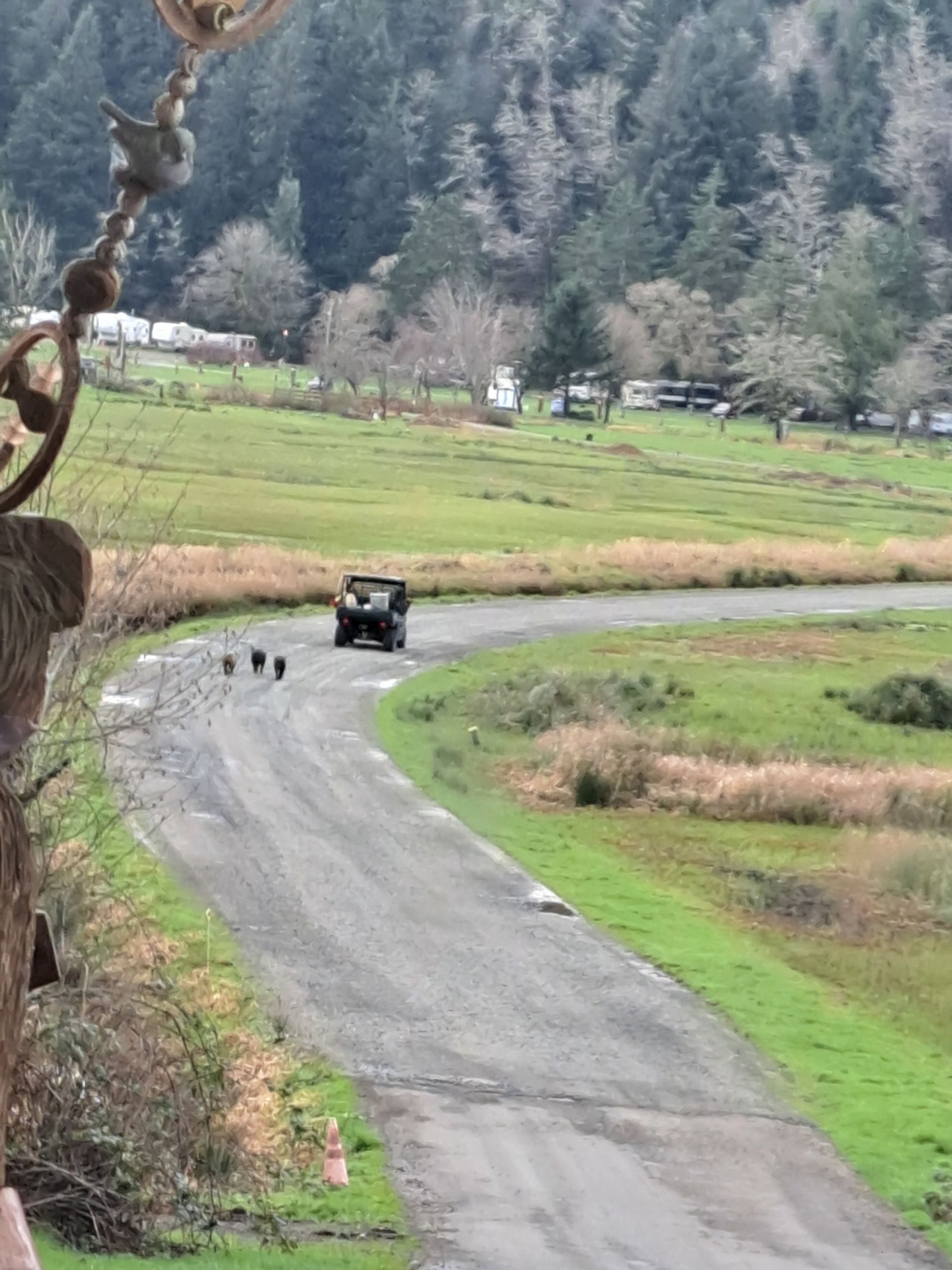 A car is driving down a road in a field.