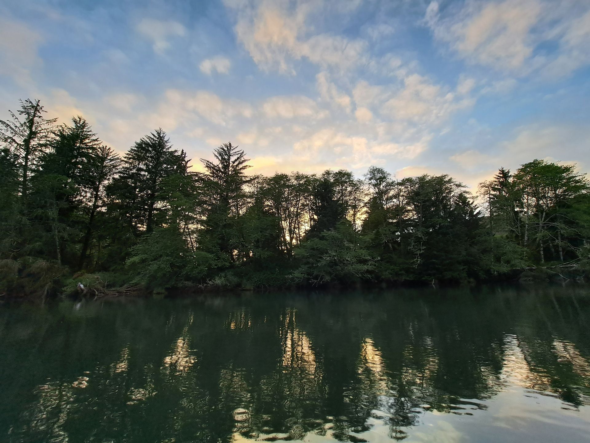 A lake with trees on the shore and clouds in the sky.
