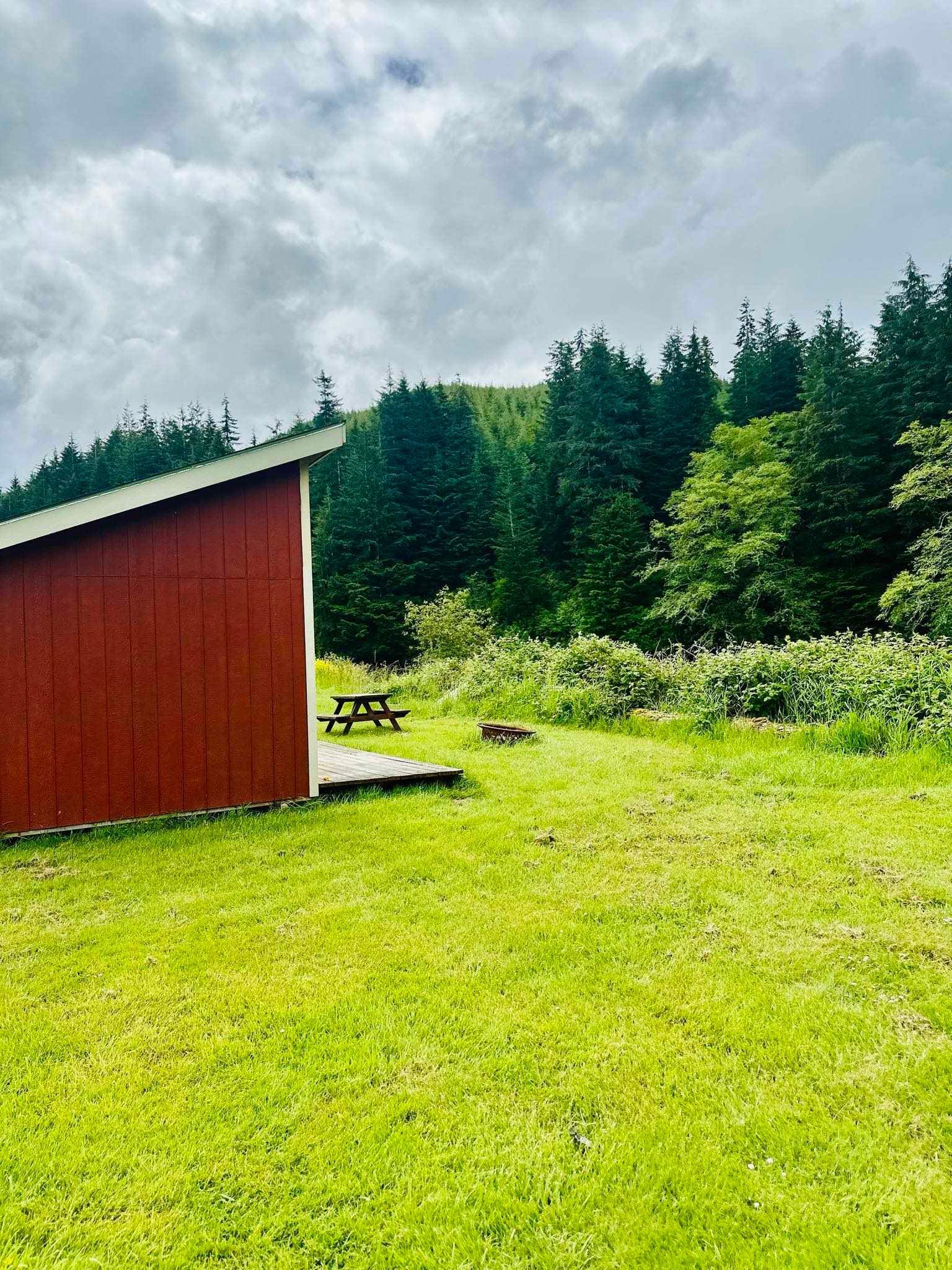 A red barn is sitting in the middle of a lush green field.