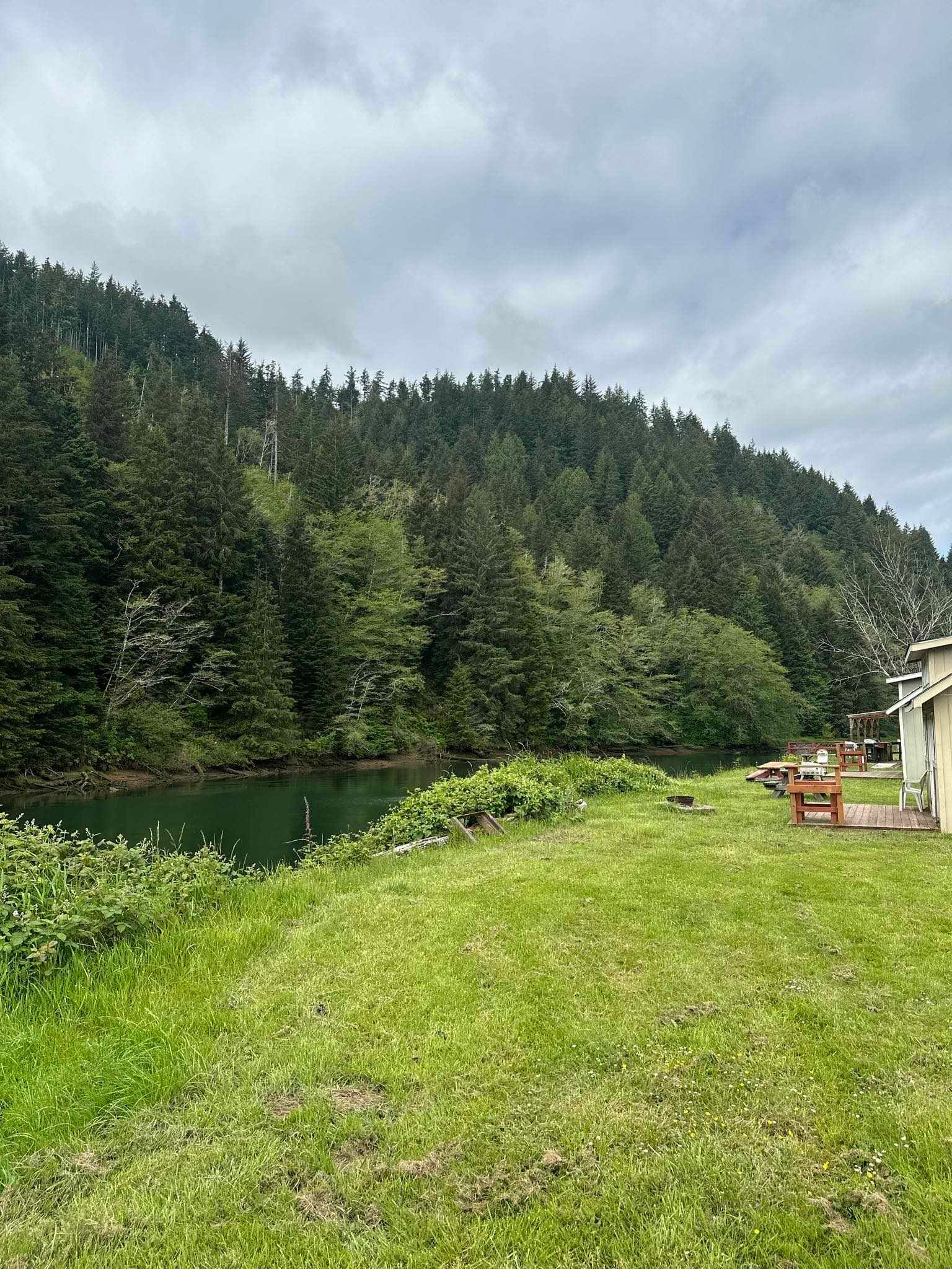 There is a lake in the middle of a grassy field surrounded by trees.