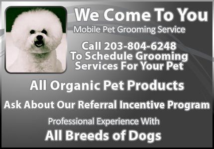 mobile-pet-grooming-west-haven-ct-dog-gone-clean-mobile-pet-salon-callout1-2