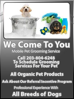 pet-grooming-services-west-haven-ct-dog-gone-clean-mobile-pet-salon-callout1