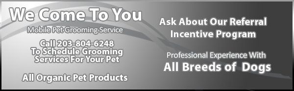 3dmobile-pet-grooming-west-haven-ct-dog-gone-clean-mobile-pet-salon-callout4