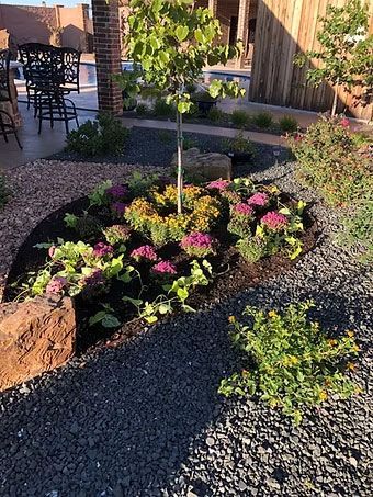 Front yard flower bed with pink and yellow blooms, gravel path, and a small tree at sunset