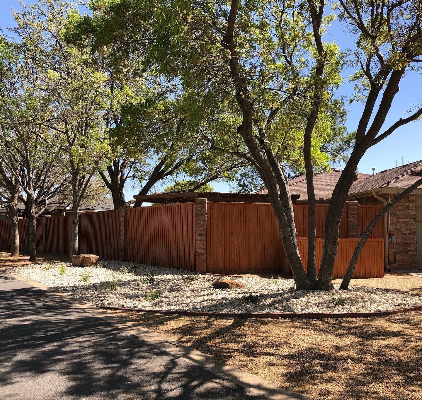 Tree-lined residential yard with a wooden fence and house in bright sunlight