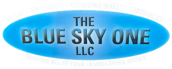 The Blue Sky One LLC - Logo