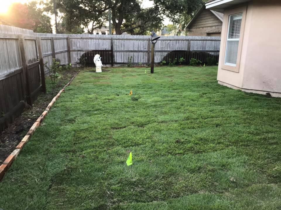 Lawn