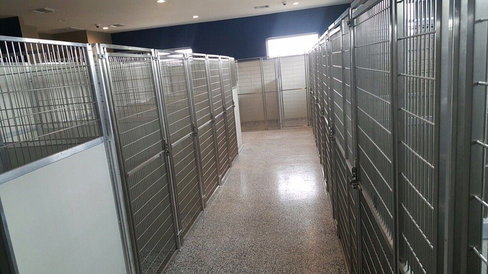 The Camp Standard Boarding