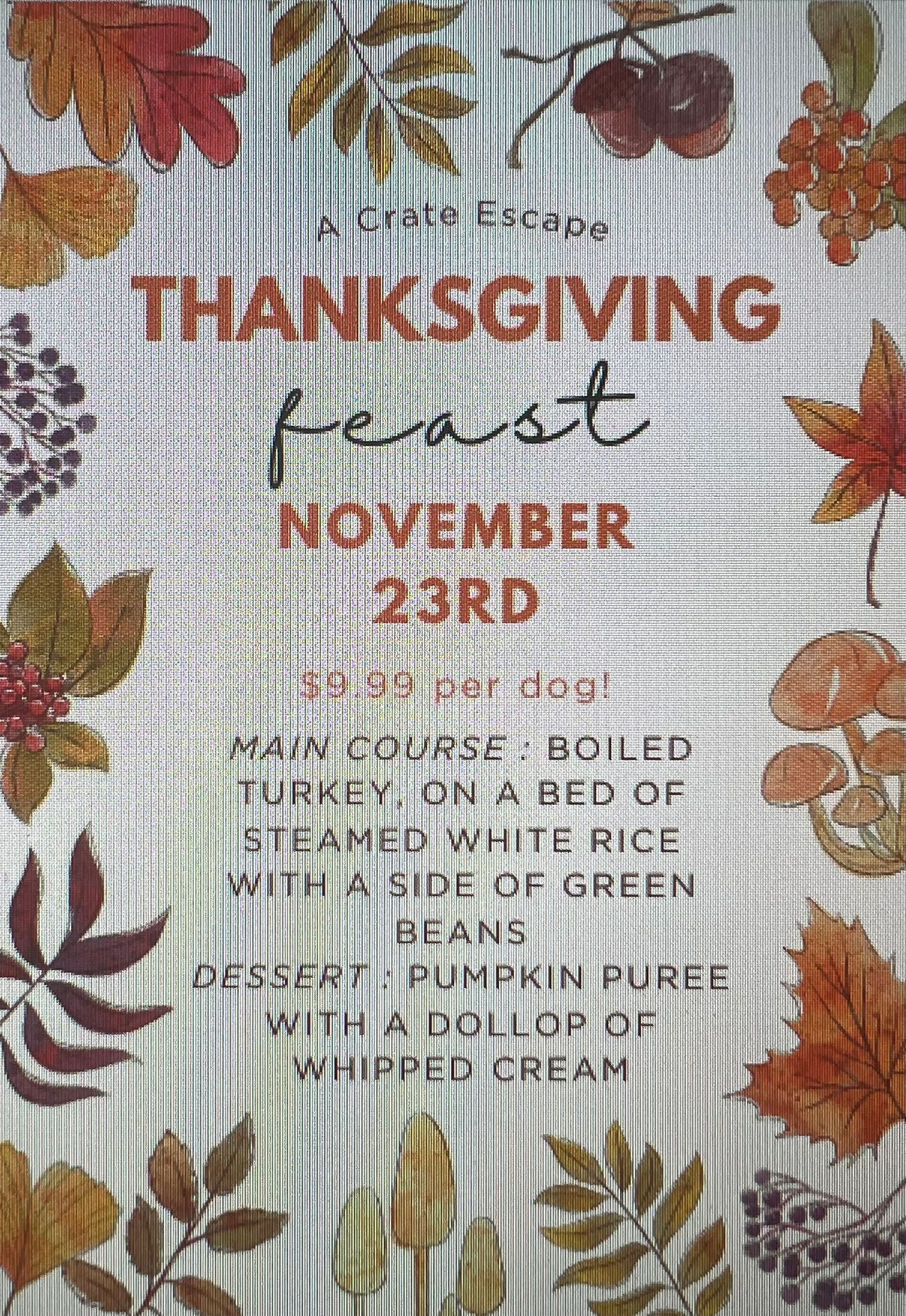 a thanksgiving feast is being held on November 23rd