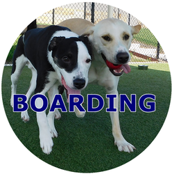 two dogs in a circle with the word boarding on it