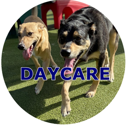 two dogs in a circle with the word daycare on it