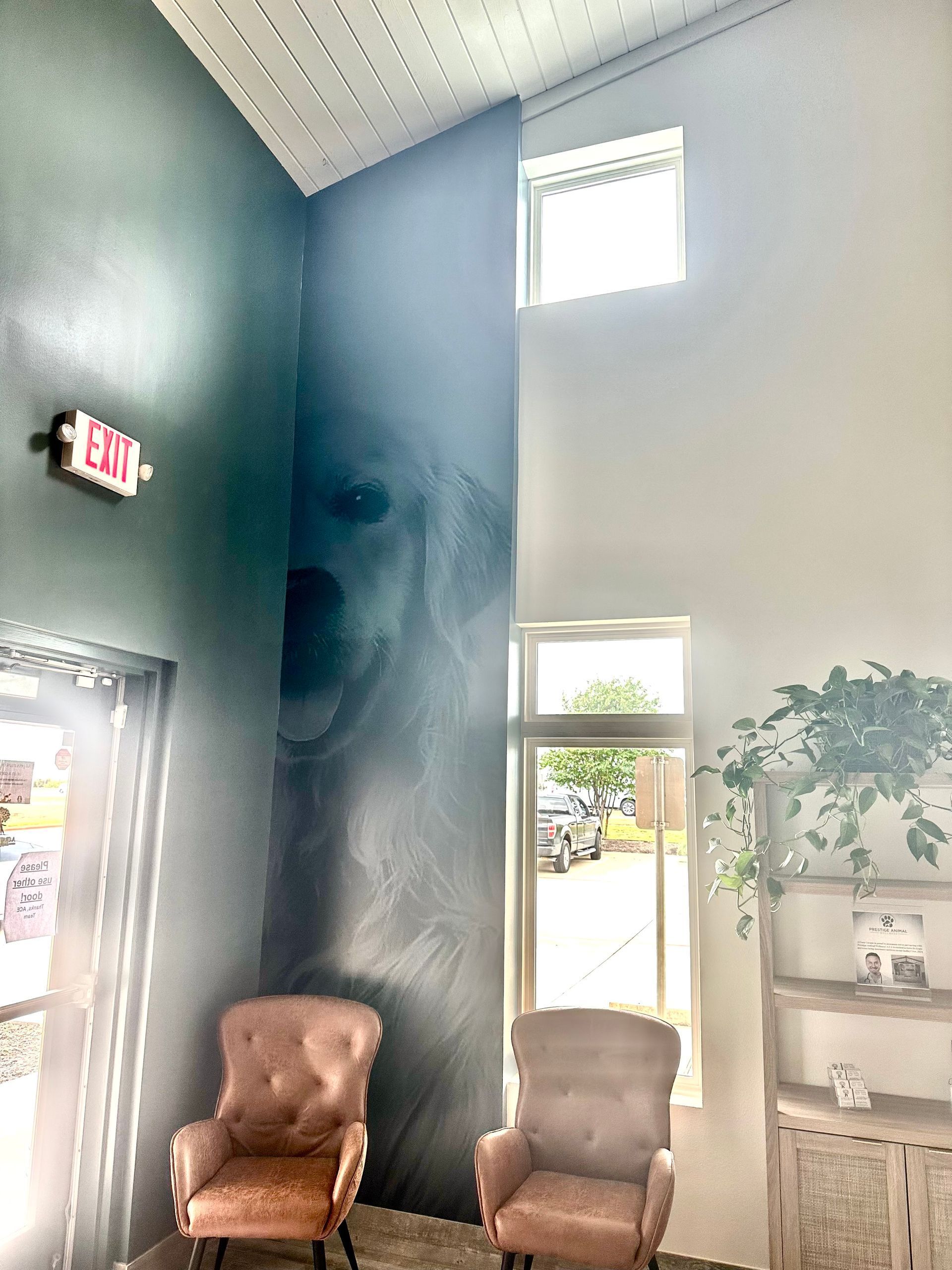 waiting area with a wall that has a dog image