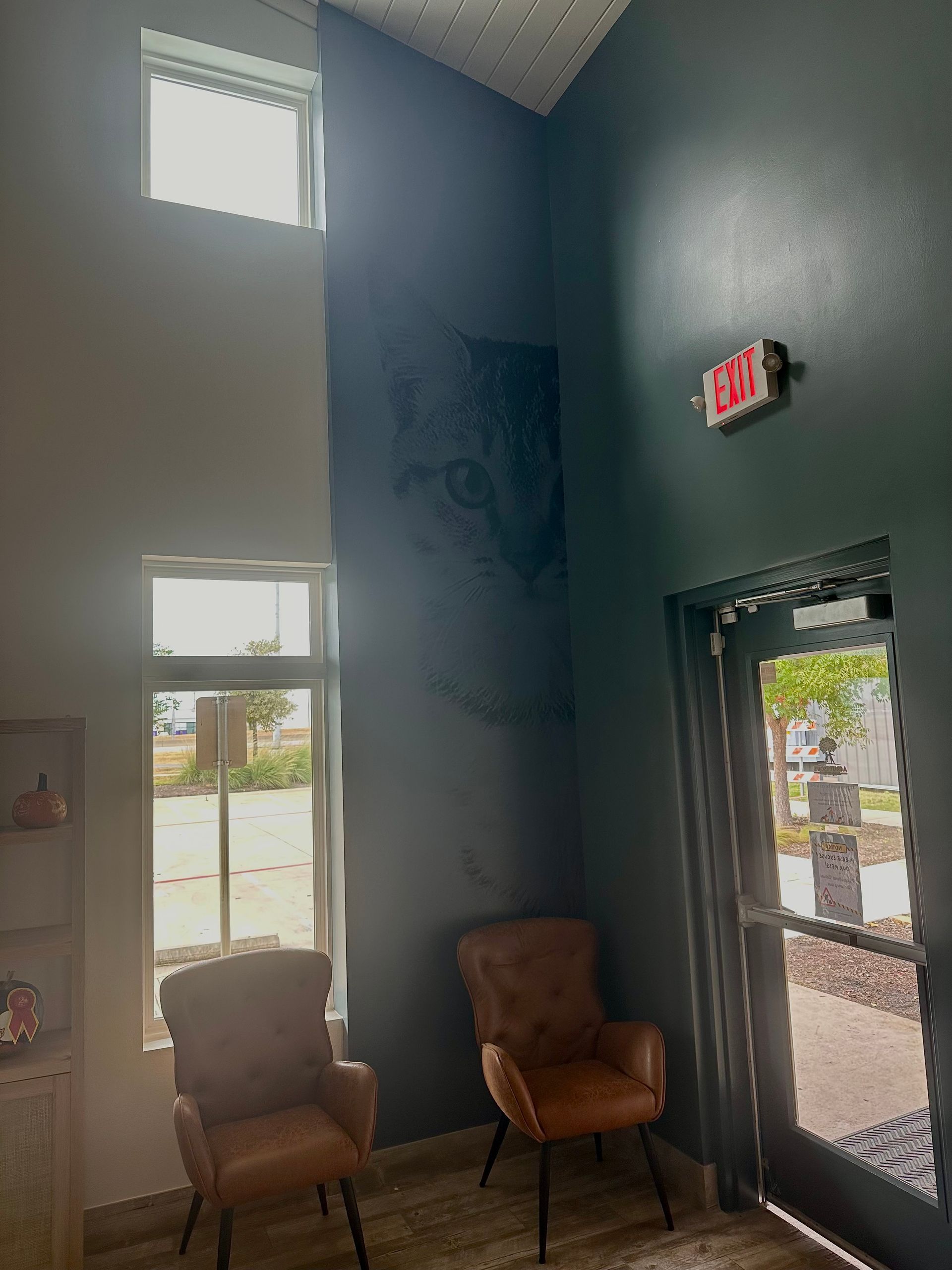 waiting area with a wall that has a cat image