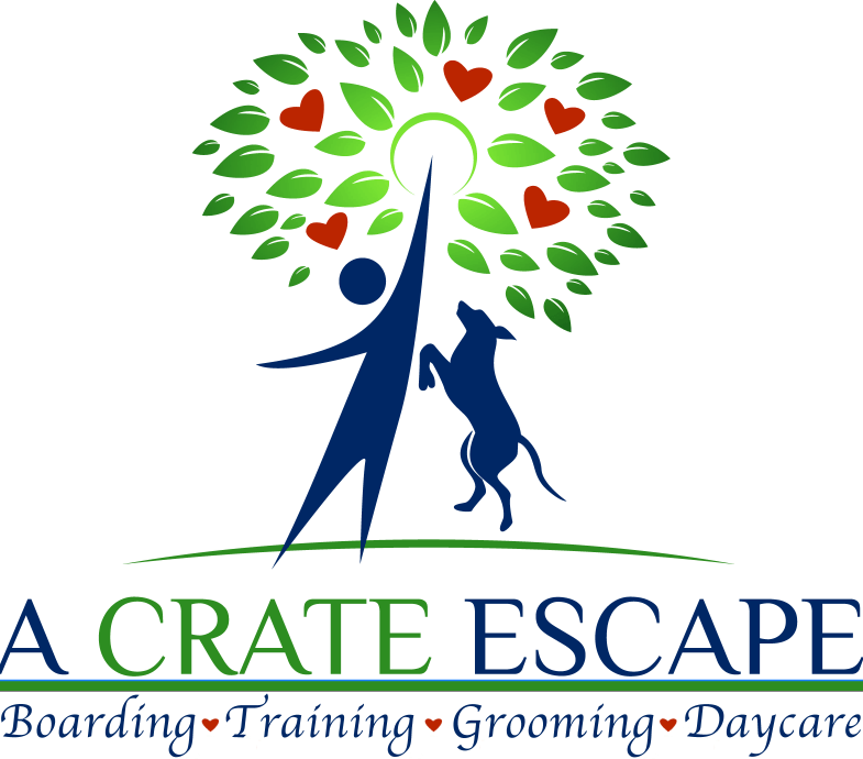 A Crate Escape - Logo