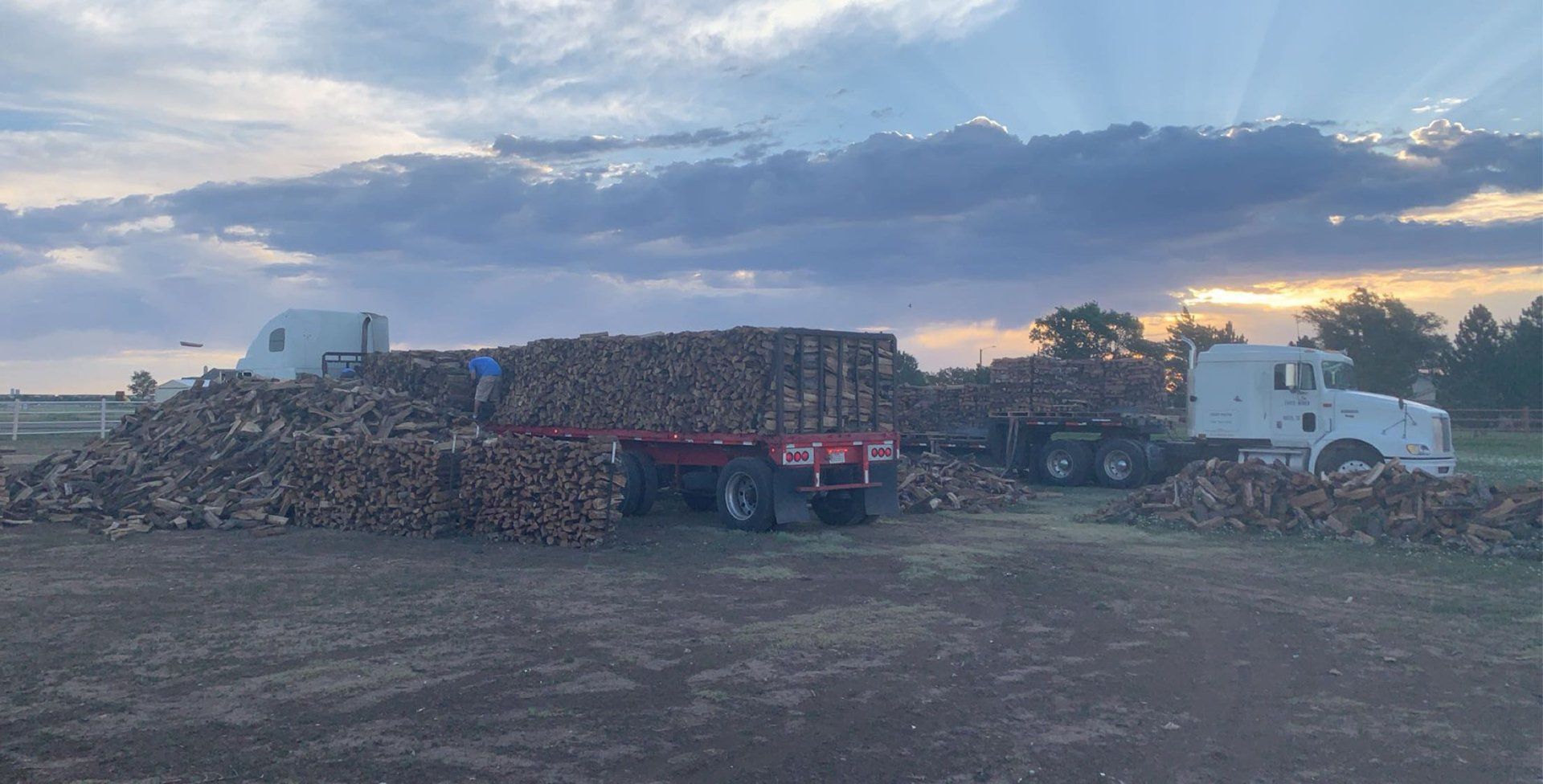 Firewood logs