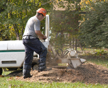Stump grinding