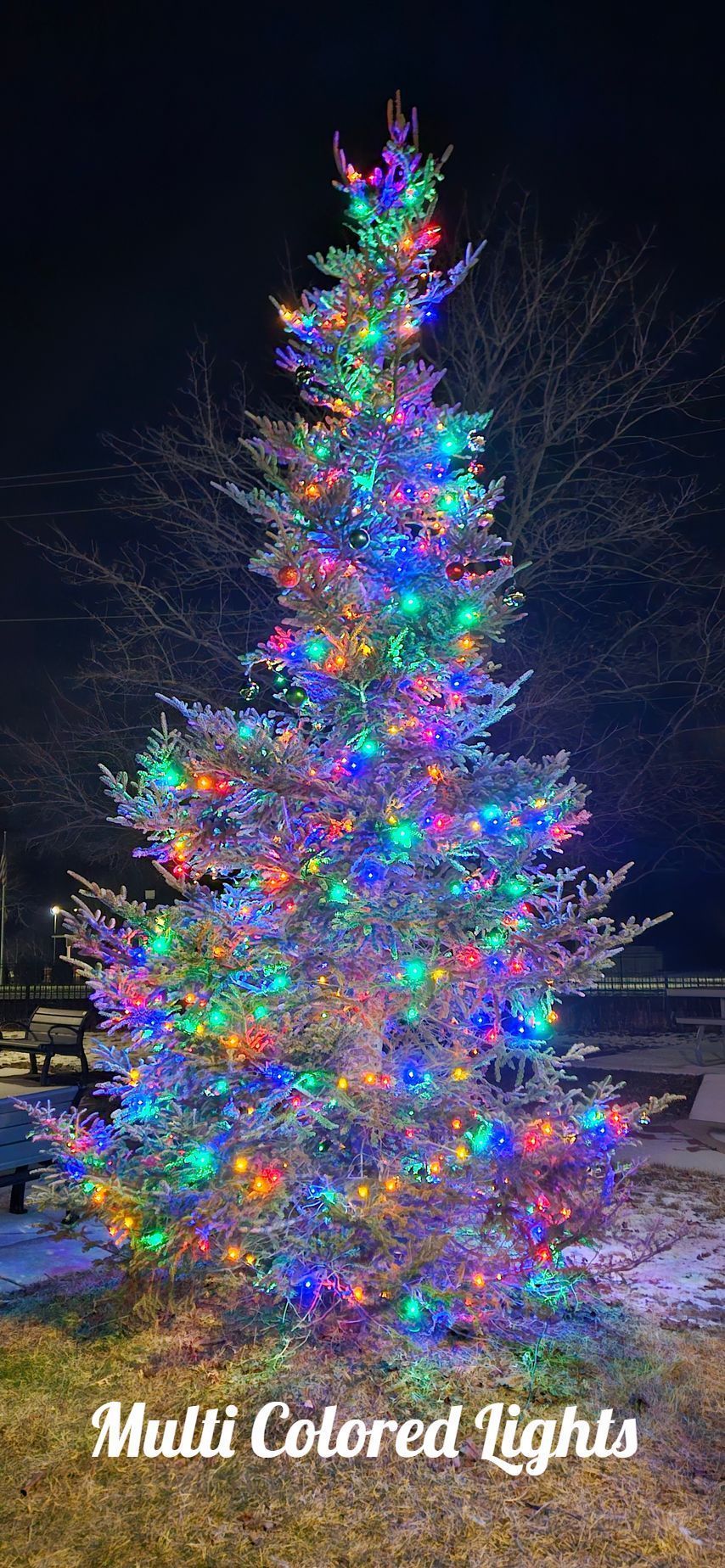 Tall Christmas tree lit with multicolored lights against a dark night sky