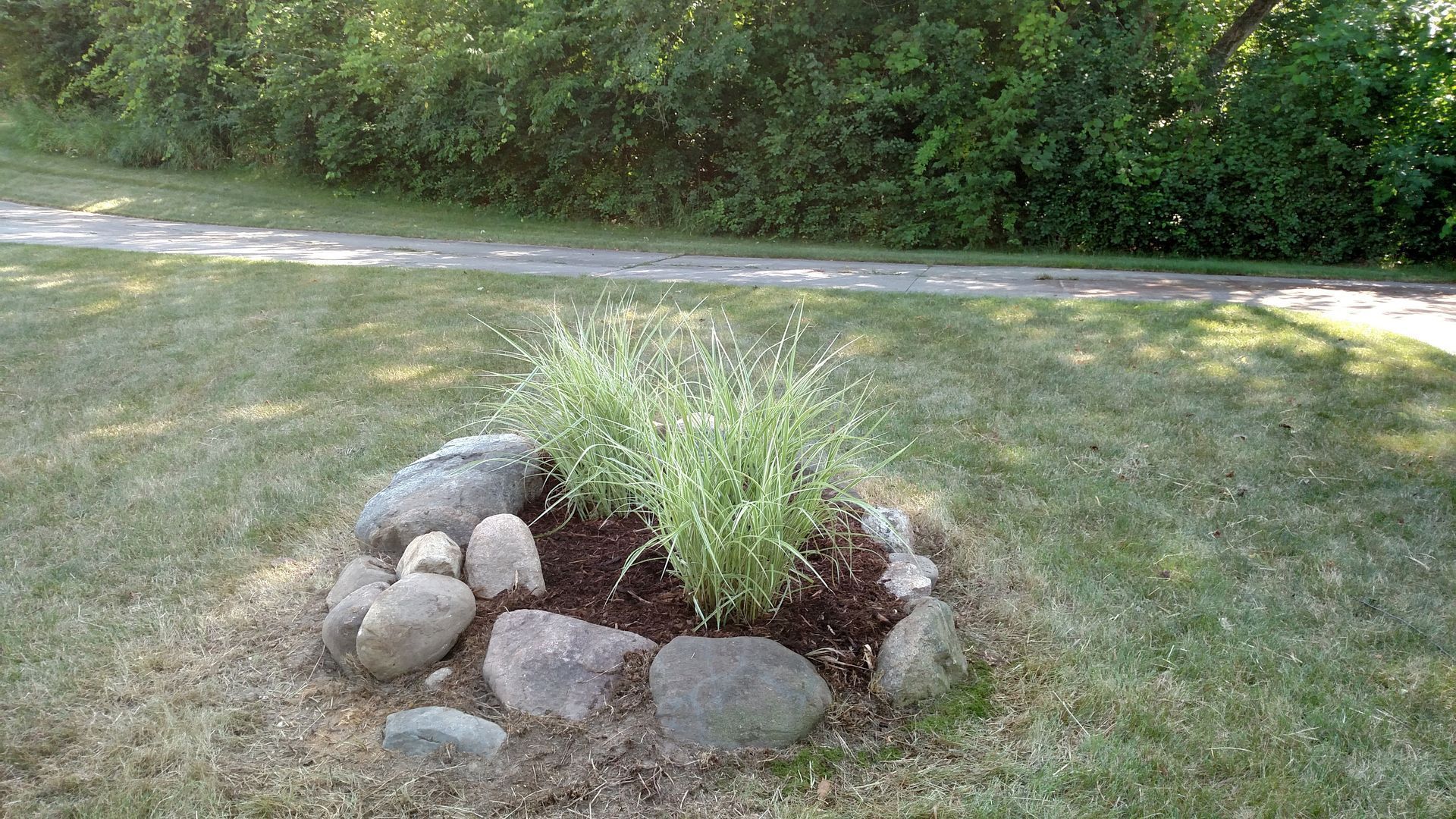 Small rock-bordered flower bed with green grass and a young shrub beside a paved path