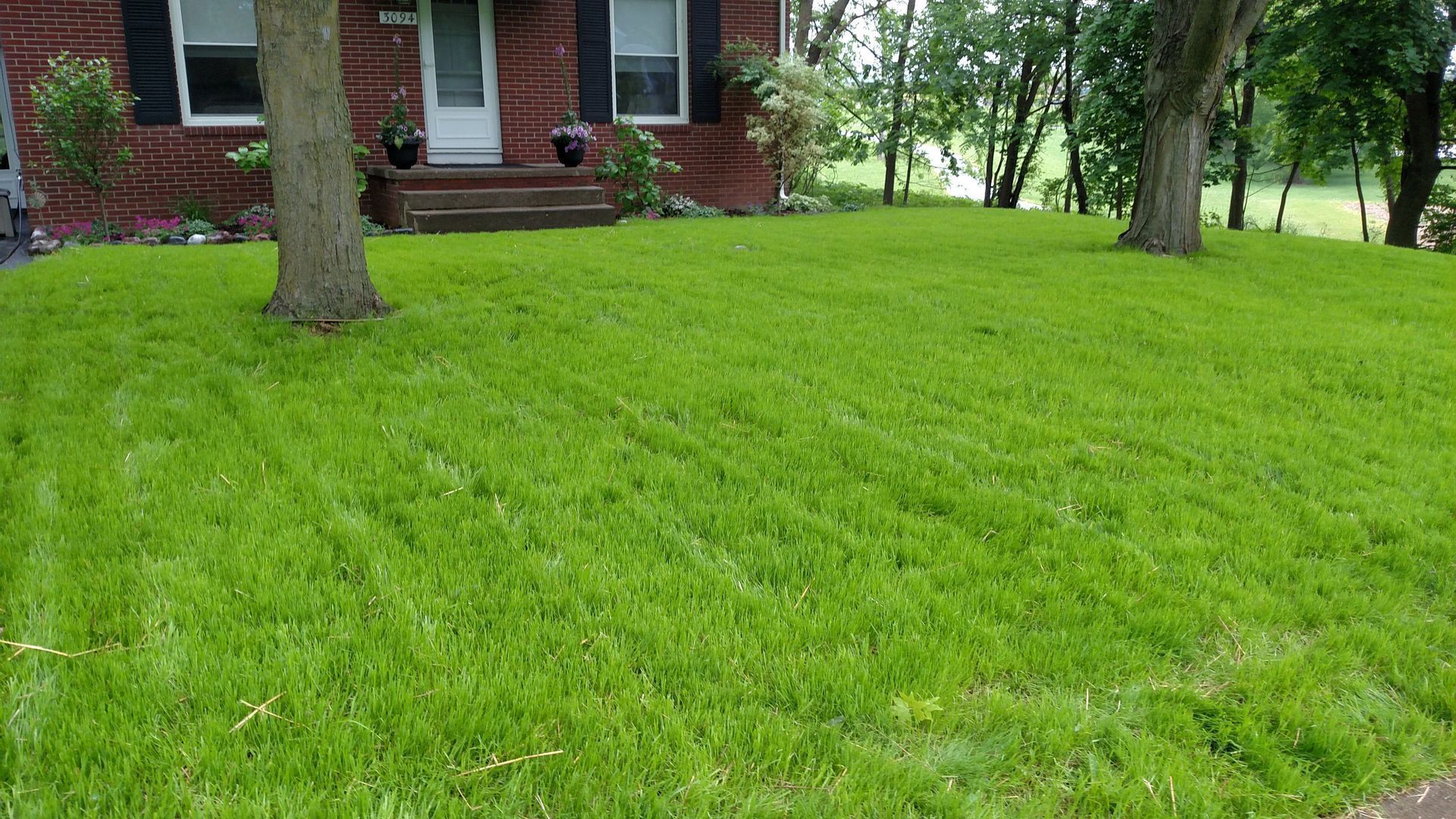 Front yard with bright green grass, trees, and a brick house porch in the background