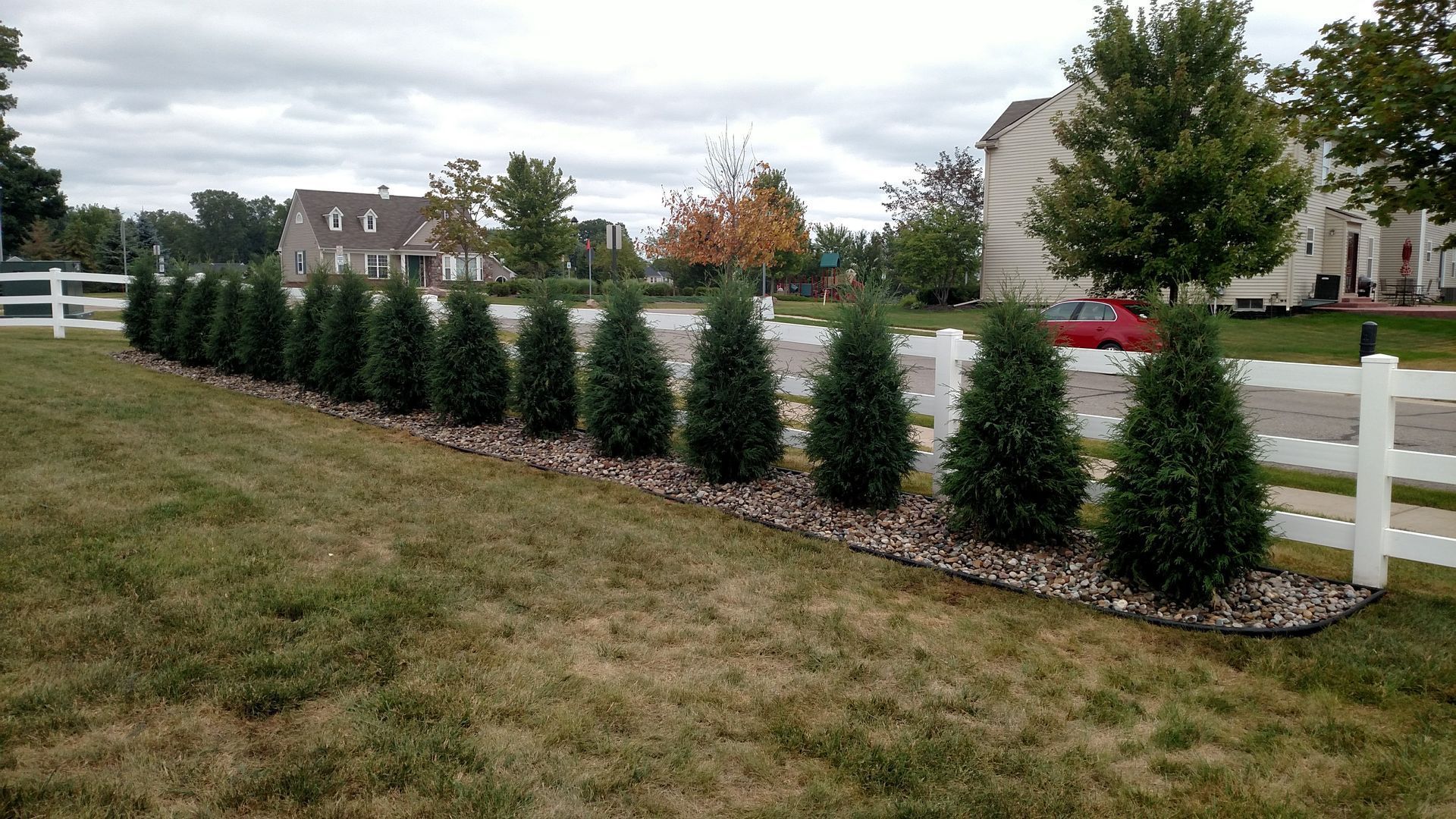 Row of evergreen shrubs lining a gravel bed along a suburban sidewalk and street under a cloudy sky