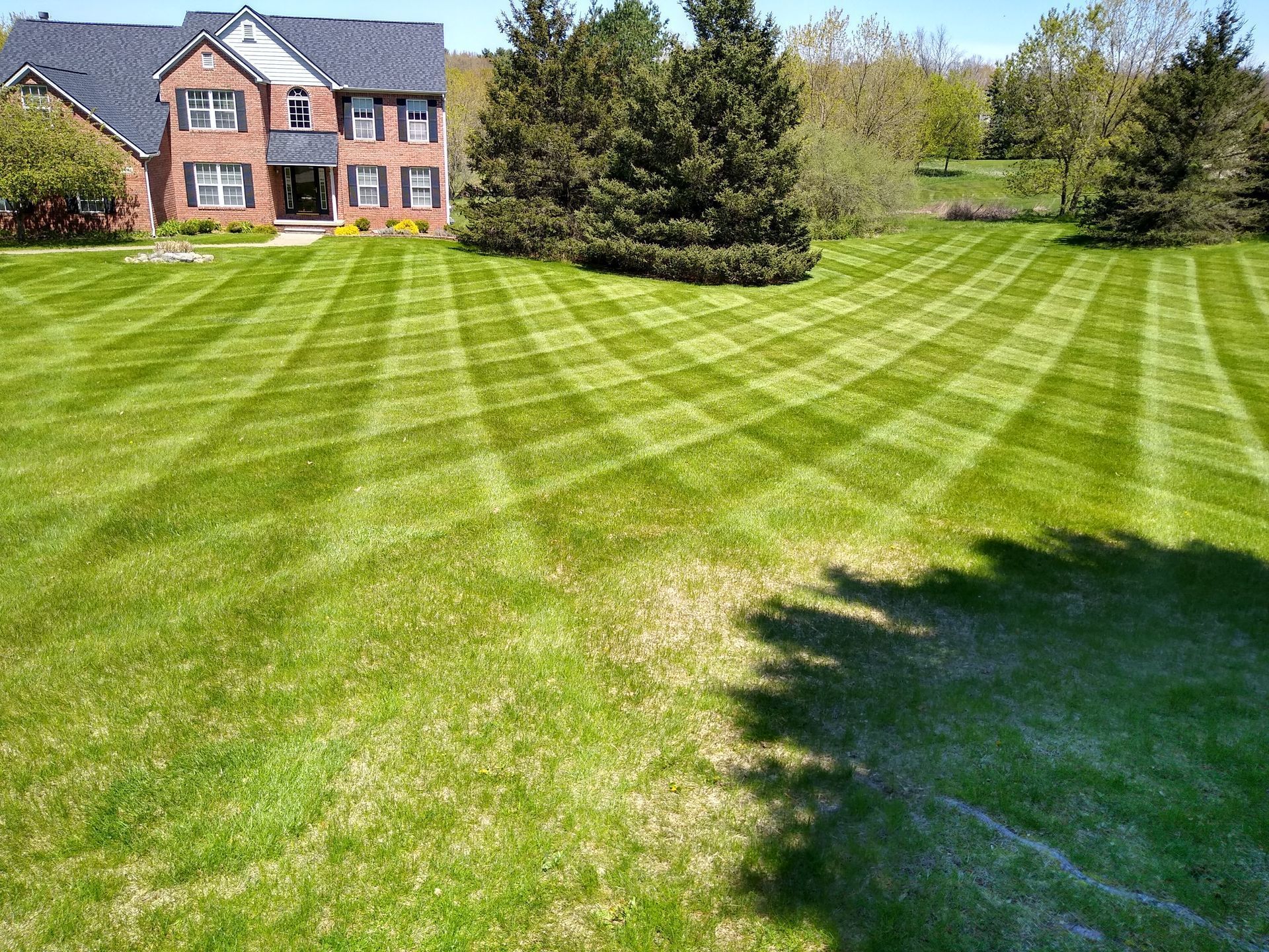Brick house with striped green lawn and trees in a sunny suburban yard