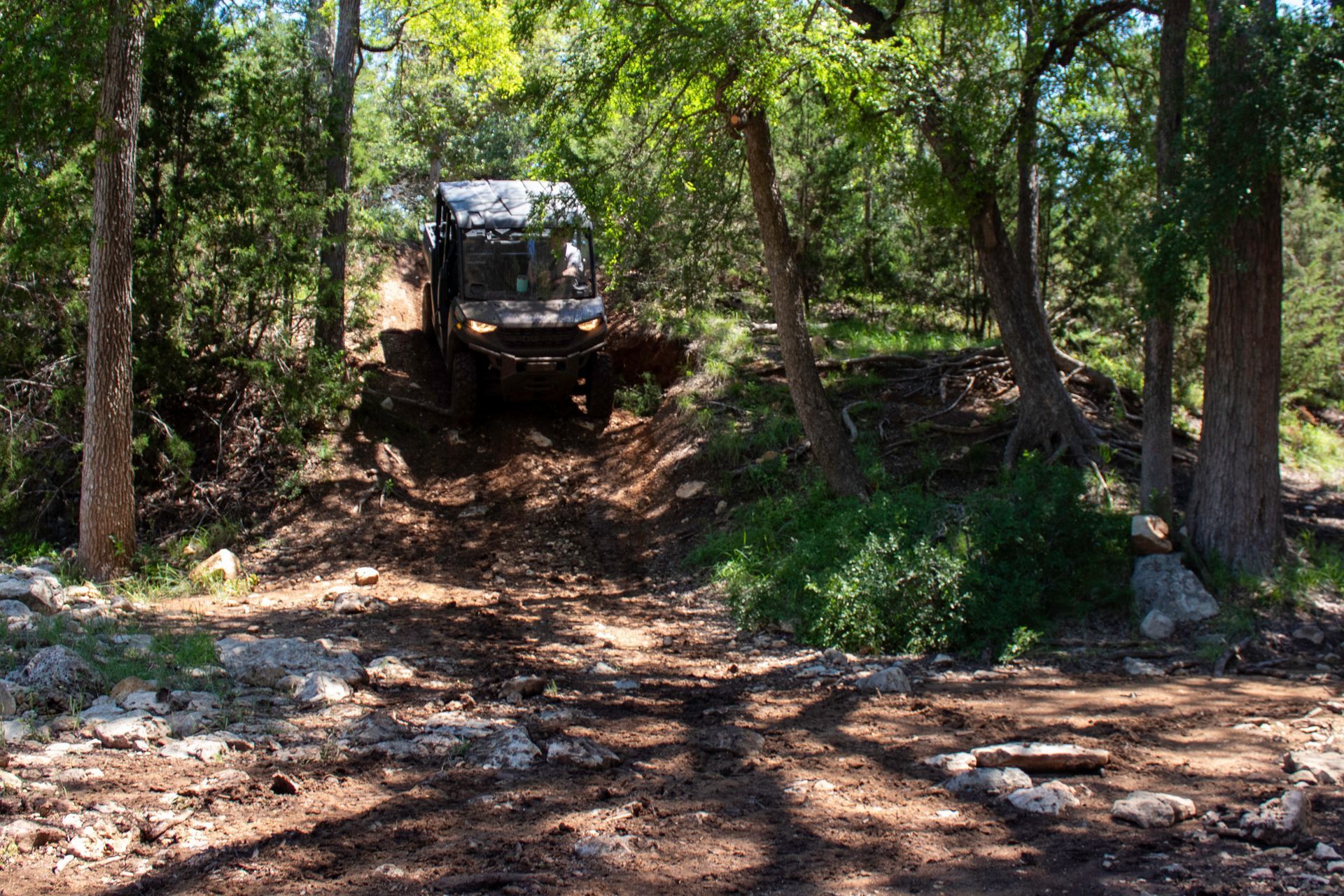 Off-road vehicle on a wooded dirt trail, partially hidden by trees and rocks